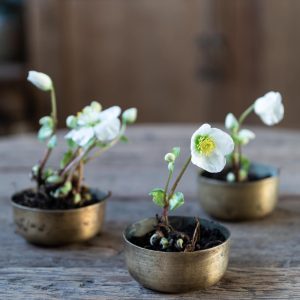 CANDLE bowl in vintage brass