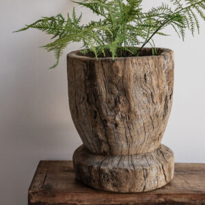 Vintage reclaimed wood mortar used as a planter with natural knotted grain texture, styled with fern — Soulosofie Mallorca
