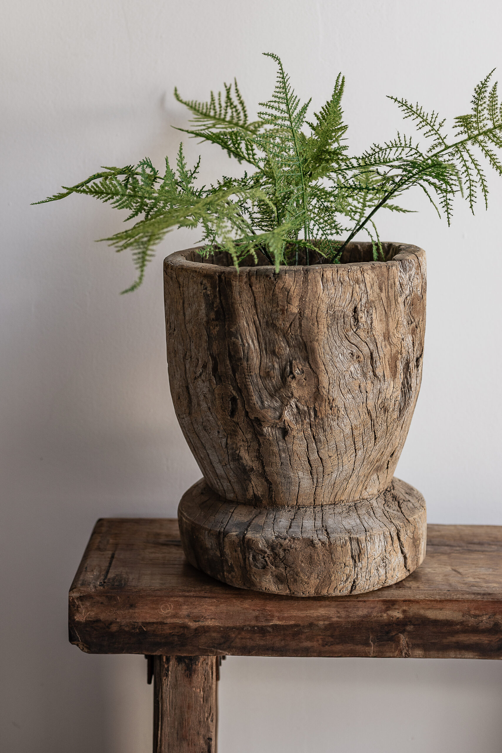 Vintage reclaimed wood mortar used as a planter with natural knotted grain texture, styled with fern — Soulosofie Mallorca