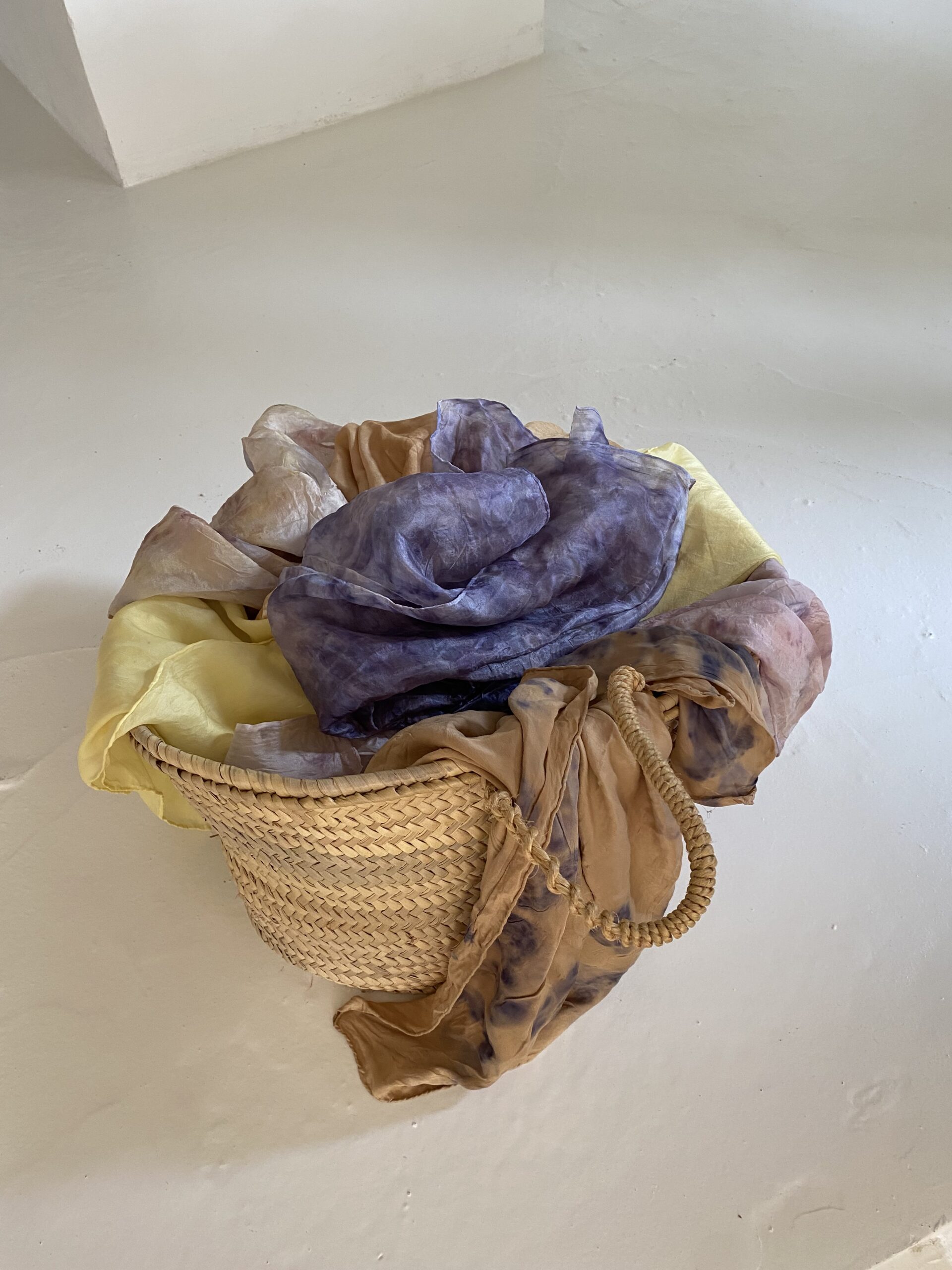 WORKSHOP The Art of Natural Dyeing — A Special 10-Year Anniversary Workshop - Image 3