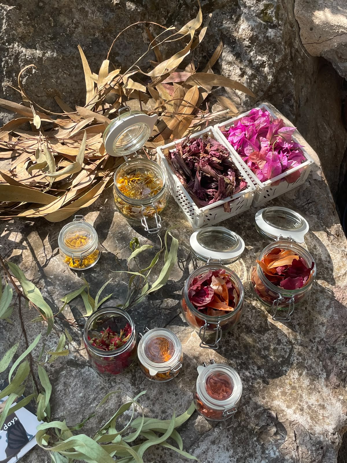 WORKSHOP The Art of Natural Dyeing — A Special 10-Year Anniversary Workshop - Image 2
